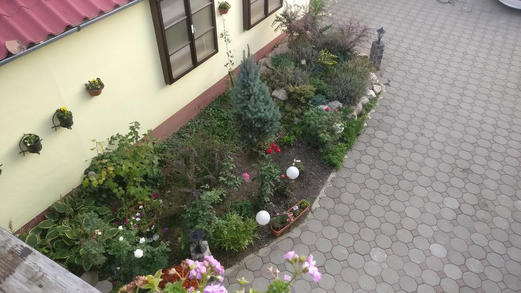 Pensiunea Liana Nemsa ภายนอก รูปภาพ